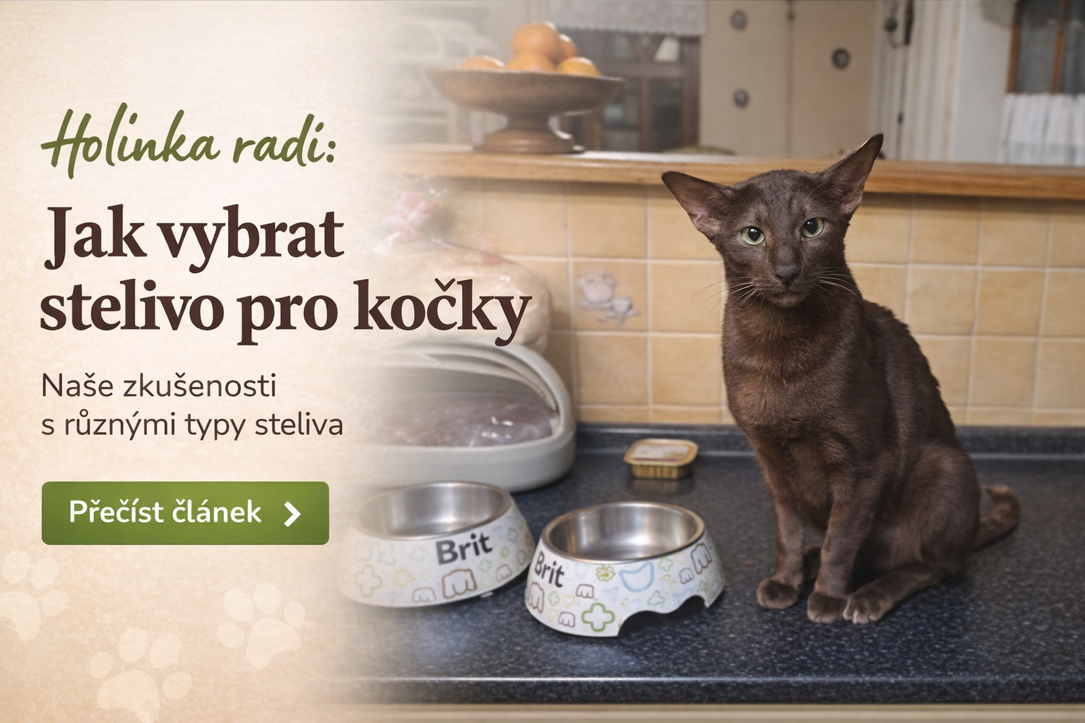 👉 🐾 Tipy od Holinky