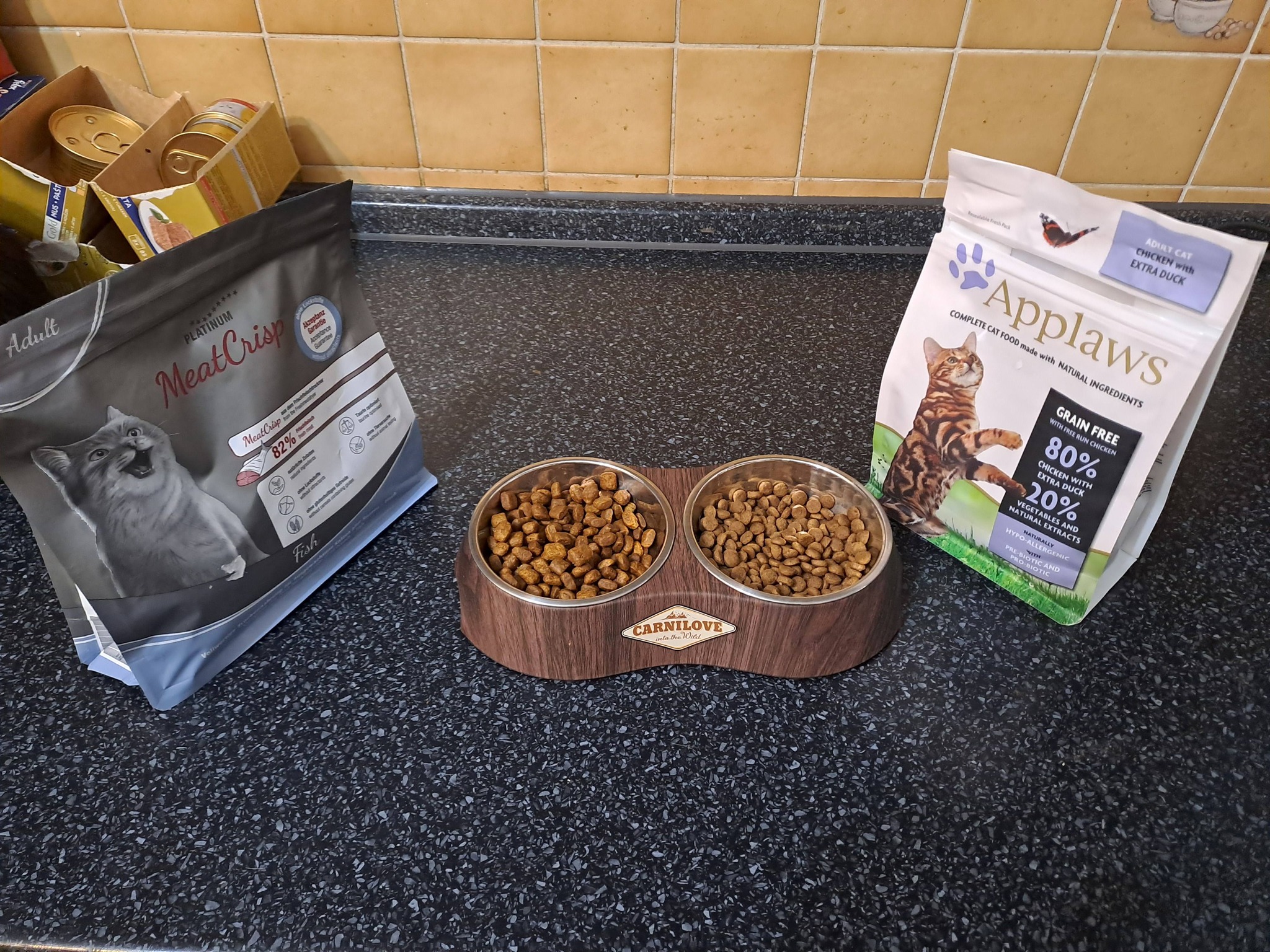 🐱 Holinka testuje… bez Holinky! 