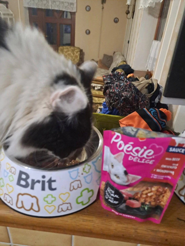 Vitakraft Cat Poésie DéliSauce kapsička pro kočky hovězí 85 g