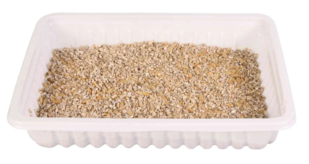 Jemná tráva pro kočku v misce TRIXIE 100 g