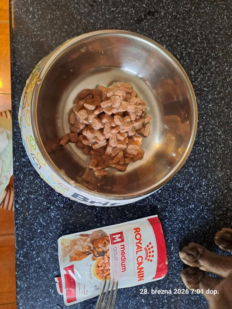 Royal Canin Medium Adult kapsička pro psy středních plemen 140 g