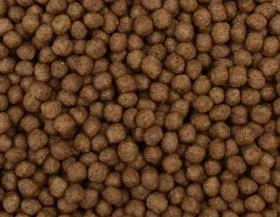 Jarad PREMIfood Papoušek Energy L22 - 700g
