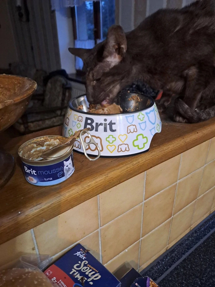Brit Premium by Nature Cat Mousse konzerva pro kočky tuňák  85 g