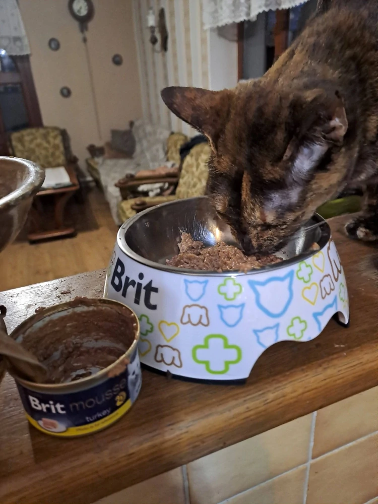 Brit Premium by Nature Cat Mousse konzerva pro kočky krůta 85 g 