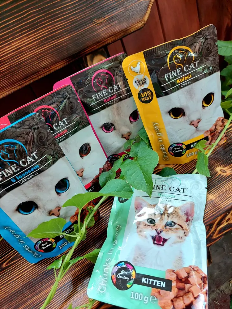 Fine Cat kapsička Grain-Free pro koťata s kuřetem v omáčce 100 g