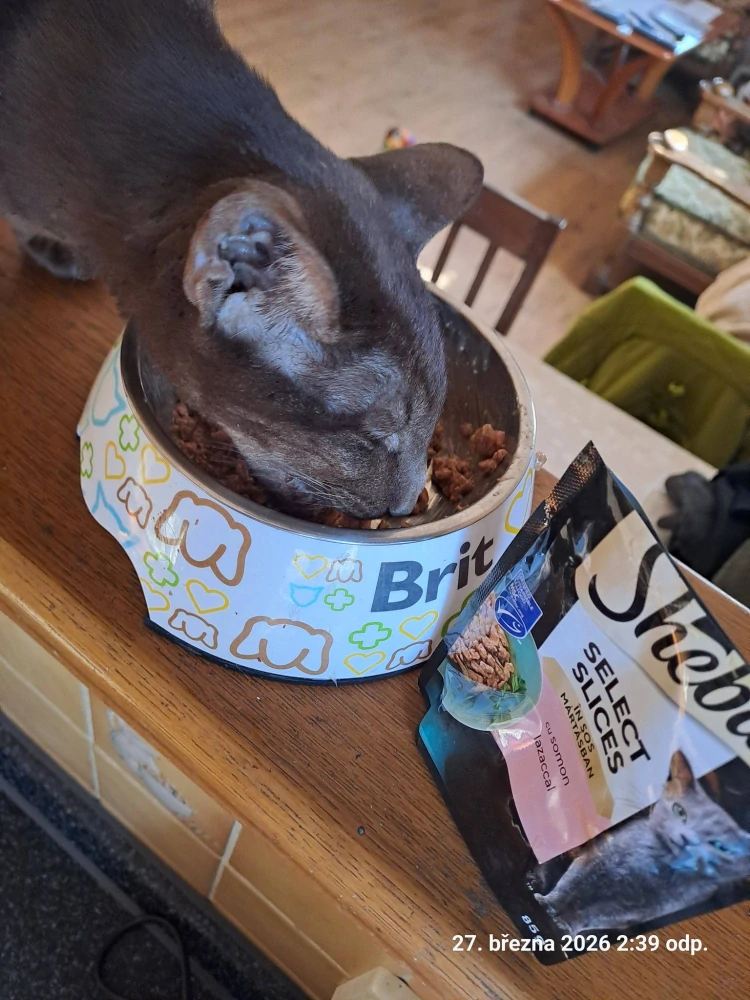 Sheba Selection kapsička pro kočky losos 85 g