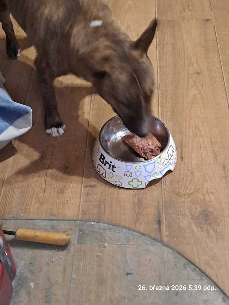 Calibra Dog Life kapsička pro psy hovězí 150 g