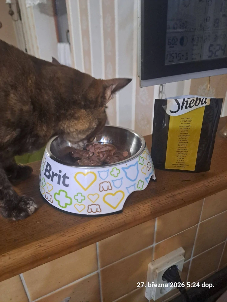 Sheba Delicacy kapsička pro kočky drůbež  85