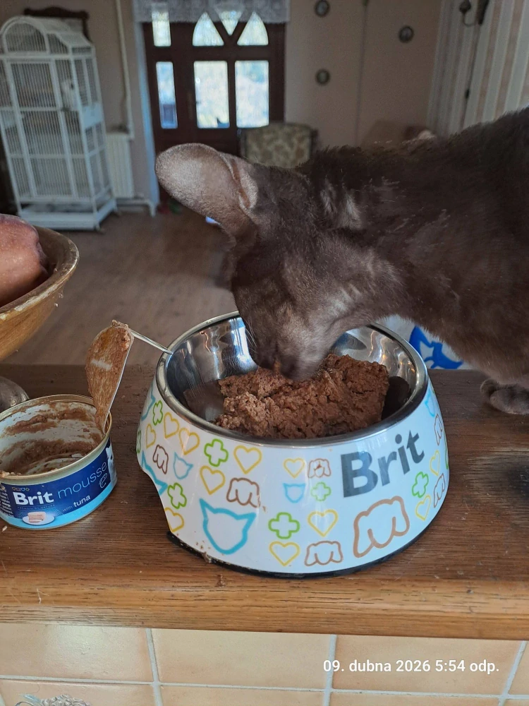 Brit Premium by Nature Cat Mousse konzerva pro kočky tuňák  85 g
