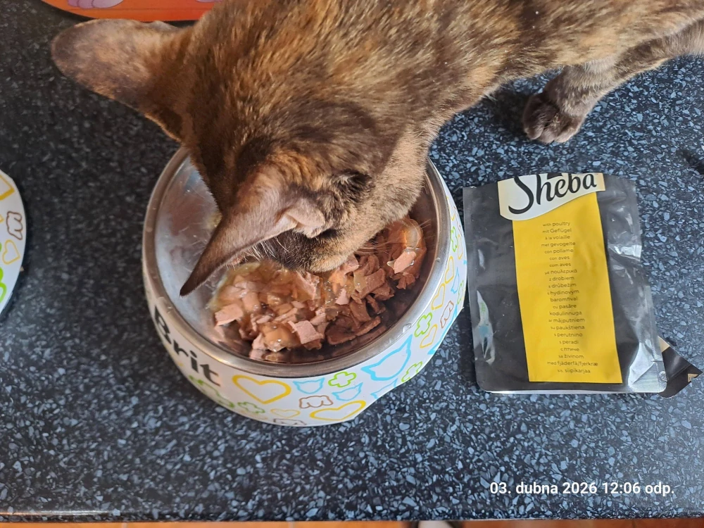 Sheba Delicacy kapsička pro kočky drůbež  85