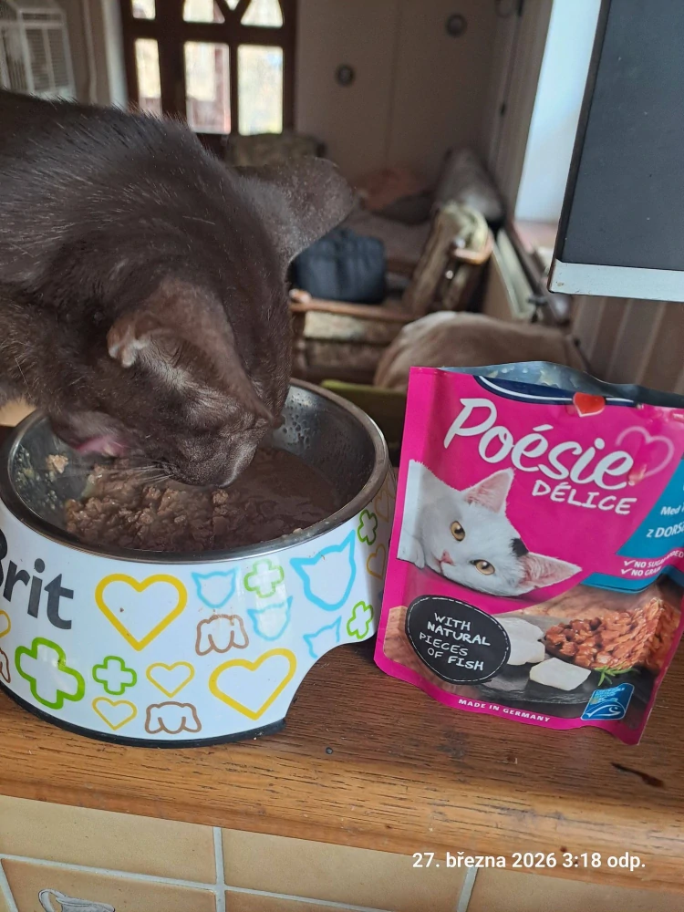 Vitakraft Cat Poésie Déli Sauce kapsička pro kočky treska 85 g