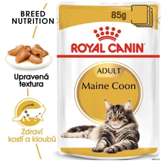 Royal Canin Maine Coon paštika pro kočky 85 g