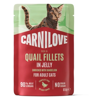 CARNILOVE Cat POUCH JELLY rich in Quail enriched with Dandelion 85 g